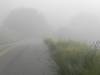 The road
(Klik om te vergroten) The road
