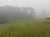 En weer mist
(Klik om te vergroten) En weer mist