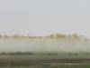 Morning mist
(Klik om te vergroten) Morning mist