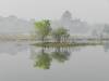 In the Morning
(Klik om te vergroten) In the Morning