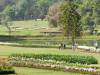 botanische tuin
(Klik om te vergroten) botanische tuin