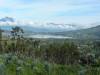 Puerto Lago
(Klik om te vergroten) Puerto Lago
