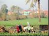 Going to the fields
(Klik om te vergroten) Going to the fields