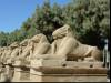 Karnak I
(Klik om te vergroten) Karnak I