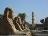 Luxor Temple I
(Klik om te vergroten) Luxor Temple I