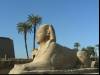 Luxor Temple II