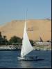 Felluccas on the Nile I
(Klik om te vergroten) Felluccas on the Nile I