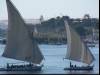 Felluccas on the Nile II
(Klik om te vergroten) Felluccas on the Nile II