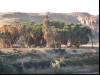 Along the Nile II
(Klik om te vergroten) Along the Nile II