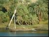 Along the Nile IV