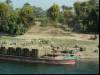Loading sugarcane
(Klik om te vergroten) Loading sugarcane