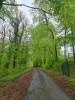Rue de la Forêt Dommery France