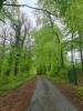 Rue de la Forêt Dommery France