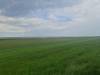 Buttje-Pad Bunde Germany
