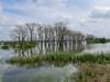 De Dijk De Groeve Netherlands