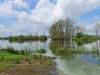 De Dijk De Groeve Netherlands