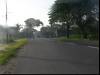 In the morning