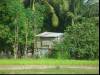 Just a house