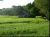 House in the rice