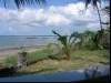 View from my Room