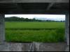 Again a busstop