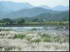Grass and Mountains