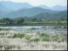 Grass and Mountains
