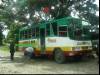The Bus