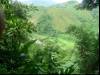 The valley