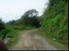 The road
