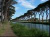 Canal Jonction
(Klik om te vergroten) Canal Jonction