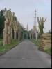 Bij St. Macaire
(Klik om te vergroten) Bij St. Macaire