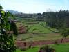 Ooty