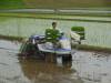 RijstPlantMachine
(Klik om te vergroten) RijstPlantMachine