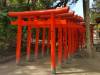 Sumiyoshi Shrine
(Klik om te vergroten) Sumiyoshi Shrine