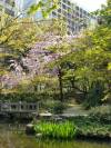 Rakusuien Garden