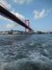 Onder de Waarom brug
(Klik om te vergroten) Onder de Waarom brug