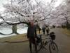 Me at the Bridge in Iwakuni
(Klik om te vergroten) Me at the Bridge in Iwakuni