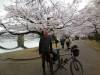 Me at the Bridge in Iwakuni