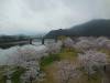 Bridge at Iwakuni