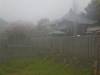 Rainy
(Klik om te vergroten) Rainy