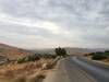  Jerash Jordan