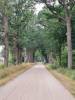 Wiersserallee Vorden Netherlands