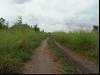 The road to......the park
(Klik om te vergroten) The road to......the park