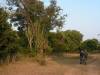 Morning footsafari
(Klik om te vergroten) Morning footsafari