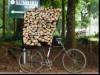 Carrying wood
(Klik om te vergroten) Carrying wood
