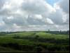 Tea as far as the eye can see
(Klik om te vergroten) Tea as far as the eye can see
