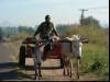 Donkey truck
(Klik om te vergroten) Donkey truck