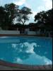 At the pool
(Klik om te vergroten) At the pool