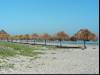 Beach in the morning.
(Klik om te vergroten) Beach in the morning.
